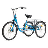 DWMEIGI Hera MG708 36V/13Ah 350W Step-Thru Electric Trike