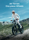 ENGWE X26 48V 19Ah/29Ah 1000W All-Terrain Electric Bike