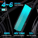 DWMEIGI Helios 48V/13Ah 750W Electric Bike