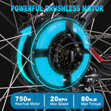 DWMEIGI Helios 48V/13Ah 750W Electric Bike