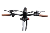 DWMEIGI Artemis 48V/16Ah 750W Fat Tire Electric Bike