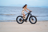 DYU King 750 48V/20Ah 750W Fat Tire Electric Bike