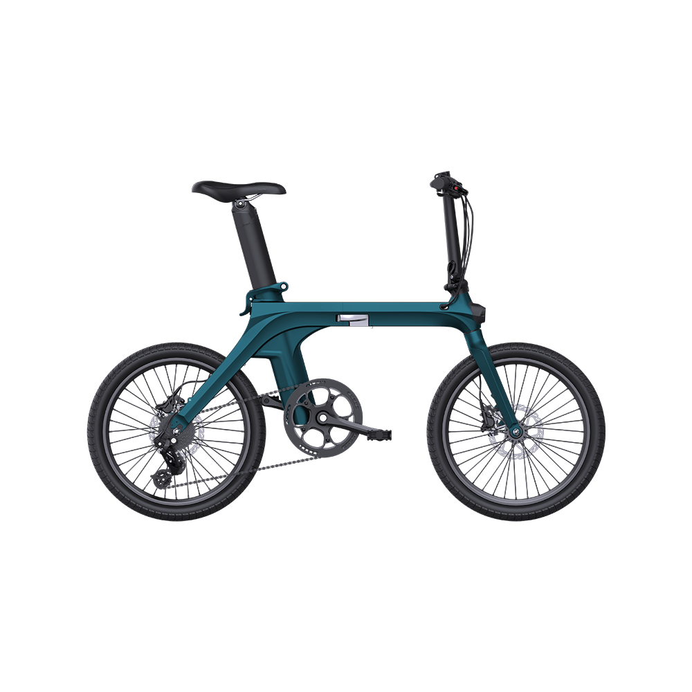 Fiido X 36V 11.6Ah 350W Folding Electric Bike Electric Ride Co
