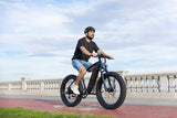 DYU King 750 48V/20Ah 750W Fat Tire Electric Bike