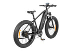 DYU King 750 48V/20Ah 750W Fat Tire Electric Bike
