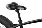DYU King 750 48V/20Ah 750W Fat Tire Electric Bike