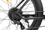 DYU King 750 48V/20Ah 750W Fat Tire Electric Bike