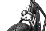 DYU King 750 48V/20Ah 750W Fat Tire Electric Bike