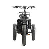 DWMEIGI Zeus MG1703 48V/18.2Ah 750W Electric Trike