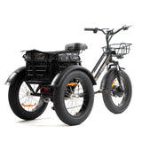 DWMEIGI Zeus MG1703 48V/18.2Ah 750W Electric Trike