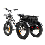 DWMEIGI Zeus MG1703 48V/18.2Ah 750W Electric Trike