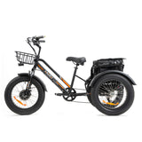 DWMEIGI Zeus MG1703 48V/18.2Ah 750W Electric Trike