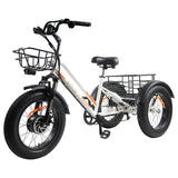 DWMEIGI Zeus MG1703 48V/18.2Ah 750W Electric Trike
