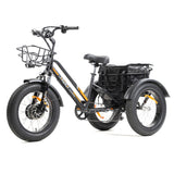DWMEIGI Zeus MG1703 48V/18.2Ah 750W Electric Trike