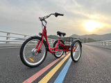DWMEIGI Hera MG708 36V/13Ah 350W Step-Thru Electric Trike