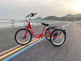 DWMEIGI Hera MG708 36V/13Ah 350W Step-Thru Electric Trike