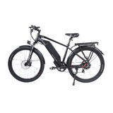 DWMEIGI Helios 48V/13Ah 750W Electric Bike