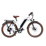 DWMEIGI Hestia 48V/13Ah 750W Electric Bike
