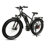 DWMEIGI Pegasus 48V/16Ah 750W Fat Tire Electric Bike
