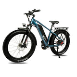DWMEIGI Pegasus 48V/16Ah 750W Fat Tire Electric Bike