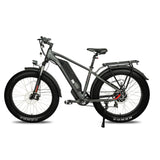 DWMEIGI Pegasus 48V/16Ah 750W Fat Tire Electric Bike