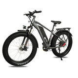 DWMEIGI Pegasus 48V/16Ah 750W Fat Tire Electric Bike
