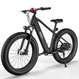 Hiboy P6 48V/11.6Ah 750W Fat Tire Electric Bike