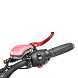Citycoco 60V/40Ah 2000W Electric Trike Scooter