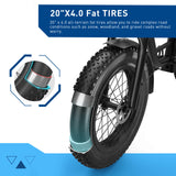 Hiboy EX6 48V/15Ah 500W Fat Tire Electric Bike