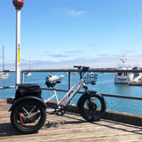 DWMEIGI Zeus MG1703 48V/18.2Ah 750W Electric Trike