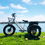 DWMEIGI Zeus MG1703 48V/18.2Ah 750W Electric Trike