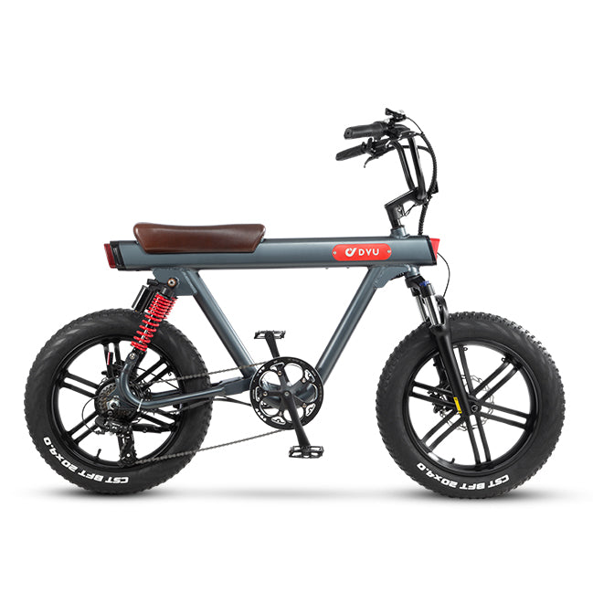 DYU V8 750W Electric Bike – Electric Ride