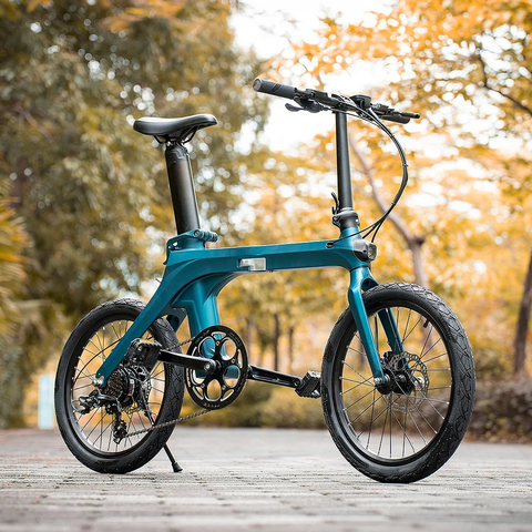 Fiido X electric bike outdoor with trees