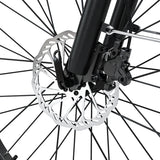 Hiboy EX9 48V/11.6Ah 1000W Electric Bike