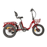 Eunorau NEW-TRIKE 2.0 48V/20Ah 750W Electric Trike