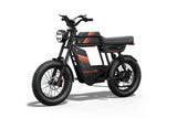 Riding Times GT33 48V/27Ah 1350W All Terrain Cafe Racer Cargo Electric Bike