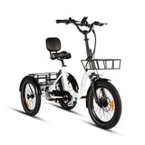 Eunorau ONE-TRIKE 2.0 48V/14.5Ah 500W Electric Trike