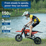 Hiboy DK2 24V/4.5Ah 150W Electric Dirt Bike For Kids