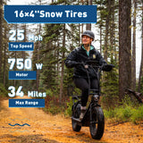 Hiboy U2 Pro 48V/13Ah 750W Electric Scooter