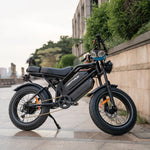 HappyRun G70 48V/38Ah 2000W Electric Cargo Bike