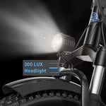 Hiboy EX6F 48V/14.5Ah 500W Electric Bike