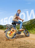 ENGWE L16 48V 18Ah/23Ah 1500W Electric Bike