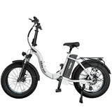 Hiboy EX6F 48V/14.5Ah 500W Electric Bike