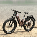 Hiboy EX11 48V/18Ah 880W Full Suspension Electric Bike
