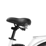 NAKTO Camel 2 48V/10Ah 500W Electric Bike