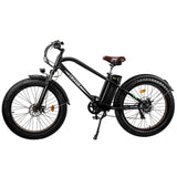 NAKTO Cruiser 2 48V/12Ah 750W Fat Tire Electric Bike