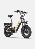 ENGWE L16 48V 18Ah/23Ah 1500W Electric Bike