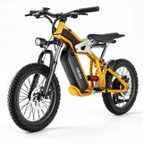 Hiboy DM14 48V/9Ah 750W Electric Dirt Bike