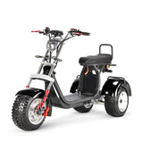 SoverSky T7.4 60V/40Ah 4000W Electric Swing Trike