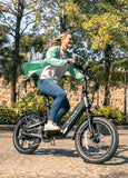 ENGWE L20 3.0 48V/15Ah 750W Electric Bike